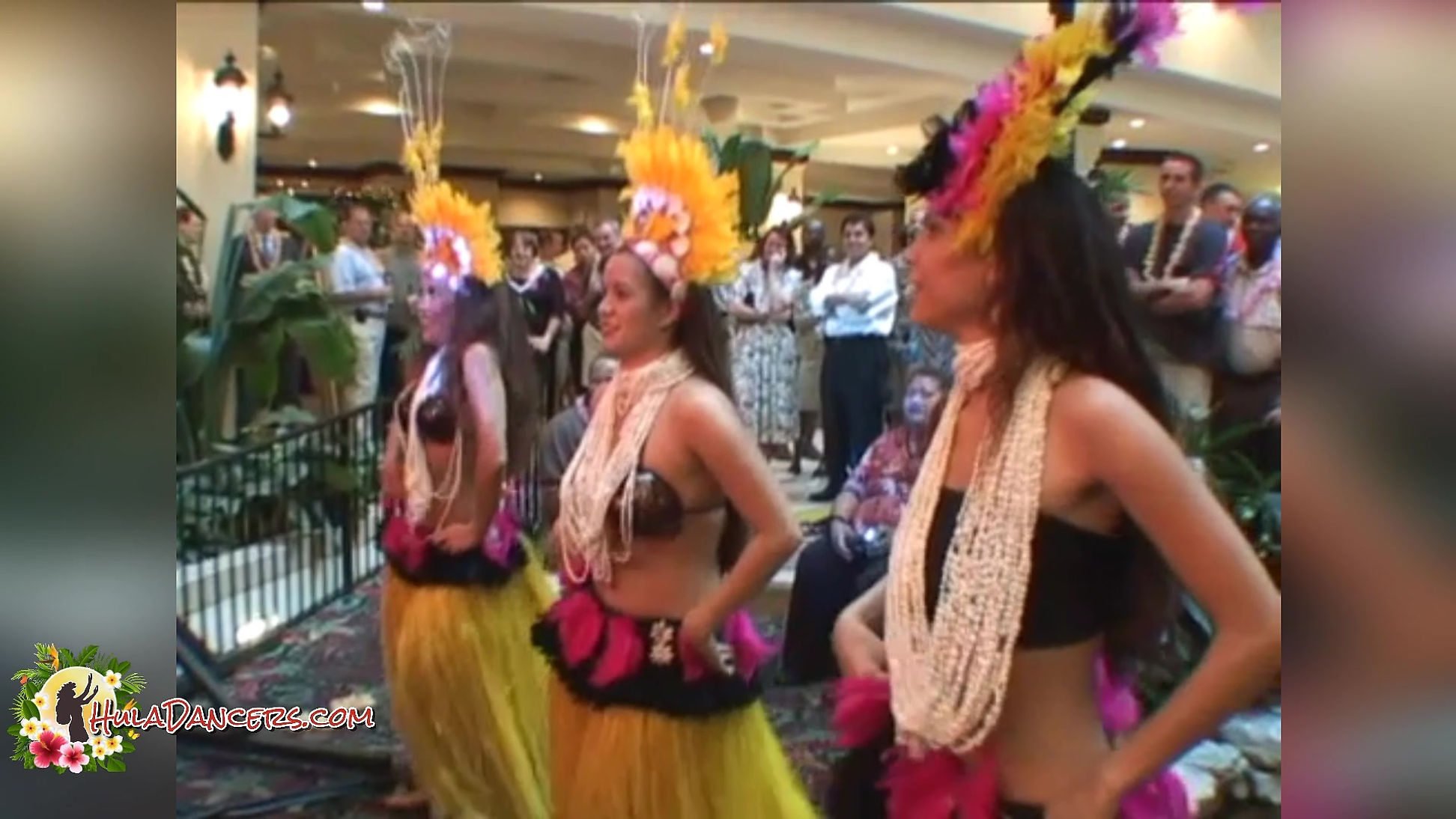 Hula Dancers for your Luau